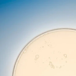 Estee Lauder Advanced Night Repair - Concentré Apaisant -Soins Du Corps Soldes advanced night repair concentre apaisant 6