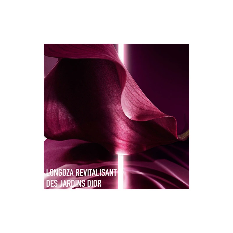 DIOR Capture Totale - Soin Regard Fermeté Et Correction Rides 8 DIOR Capture Totale - Soin Regard Fermeté Et Correction Rides – Image 6