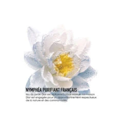 DIOR Le Démaquillage Au Nymphéa - Le Lait Démaquillant Visage Et Yeux - Lait Micellaire Purifiant -Soins Du Corps Soldes le demaquillage au nymphea le lait demaquillant visage et yeux lait micellaire purifiant 2