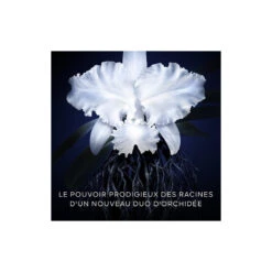 Guerlain Orchidée Impériale - La Crème Légère - La Recharge 13 Guerlain Orchidée Impériale - La Crème Légère - La Recharge -Soins Du Corps Soldes orchidee imperiale la creme legere la recharge 4